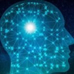 brain-artificial-intelligence-machine-learning-big-data-digital-face-1640118-pxhere.com (1)