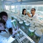 technology-meal-biology-agriculture-research-laboratory-1337015-pxhere.com
