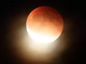 65152926