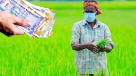 farmers600-1729080664-r2b54g4o2jdayx1306nz0ud7s2oixn34b8eomqbyxk