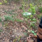 WhatsApp-Image-2025-05-17-at-9.16.09-AM
