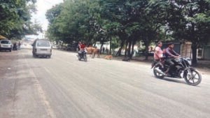 13-kr-23