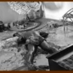IMG_20250707_191840