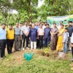 6 (1)