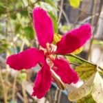 IMG_20250917_022932