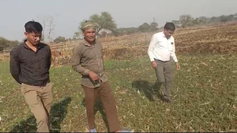 WhatsApp Image 2025-12-16 at 2.55.16 PM