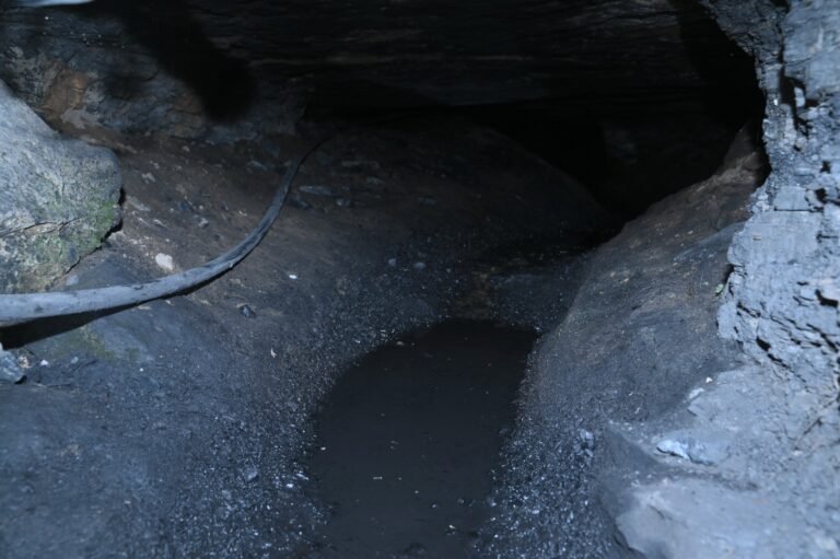 IMG-20260419-WA0033