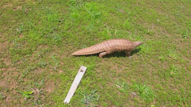 WhatsApp Image 2026-08-03 at 8.17.30 PM