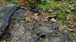 छत्तीसगढ़ के बस्तर में मिला धरती के सबसे पुराने इतिहास का सुराग, 3.6 अरब साल पुरानी चट्टान की हुई पहचान
