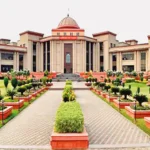 रेत चुराने वाले को जेल:कोर्ट बोला-आखिरी पेड़ कटेगा, नदी जहरीली होगी, तब समझ आएगा… पैसे को खा नहीं सकते