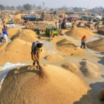 dhan_kharidi8787877887-sixteen_nine-860x484