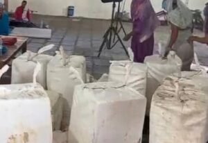 paneer
